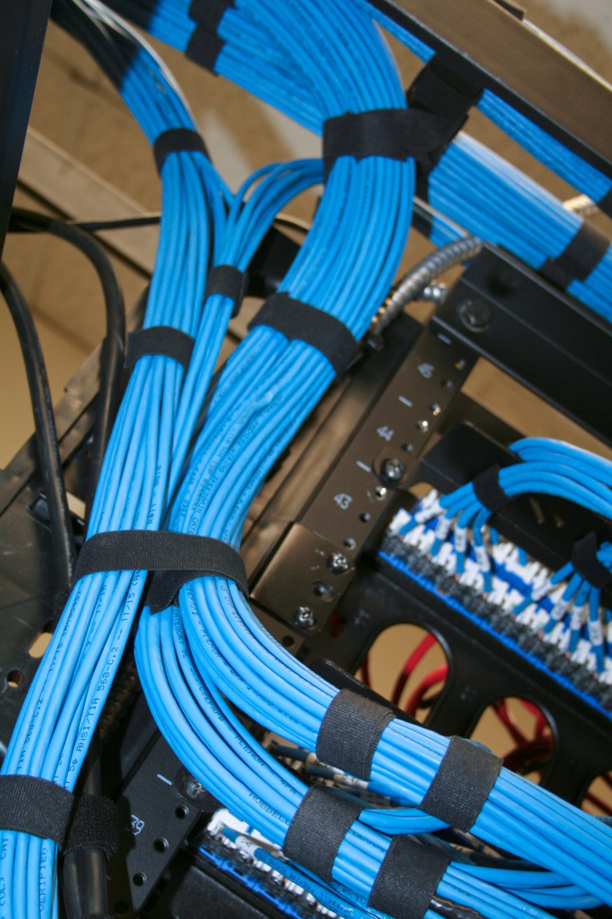 CKC2017 27 compressed