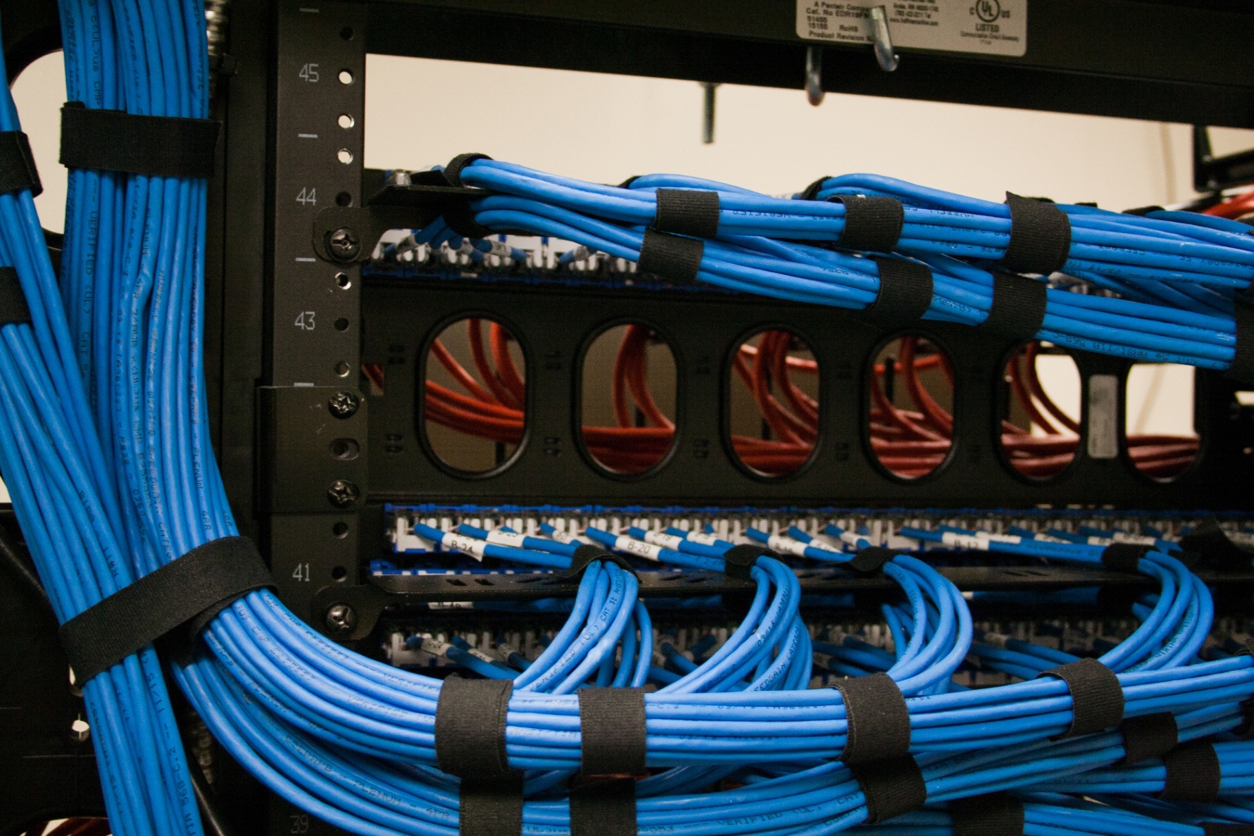 CKC2017 29 compressed